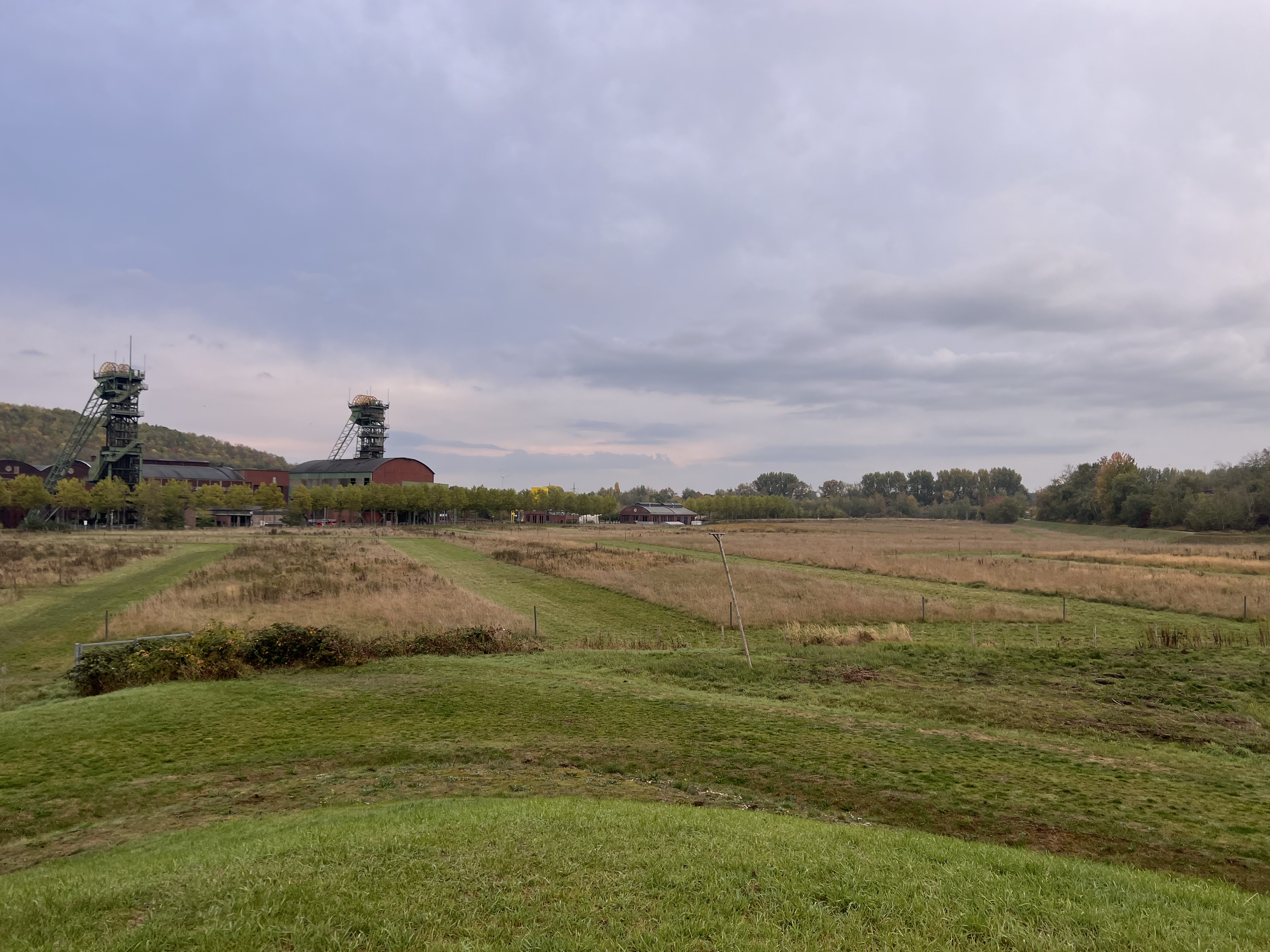 Pflegefläche Emscher-Park-Radweg