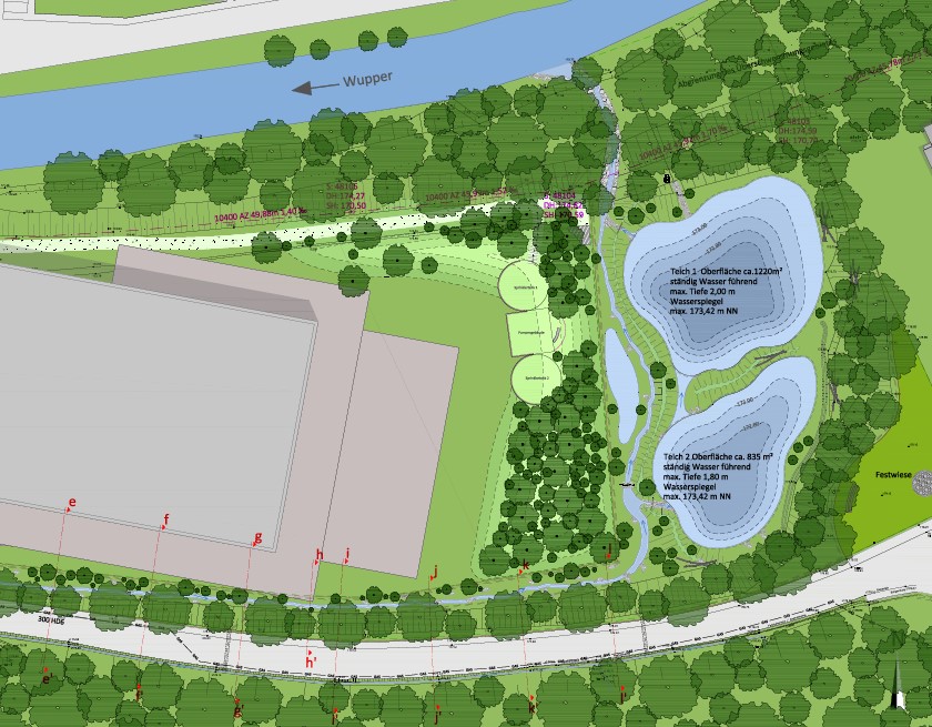 Außenanlagen: Amphibienlaichgewässer Vorwerk